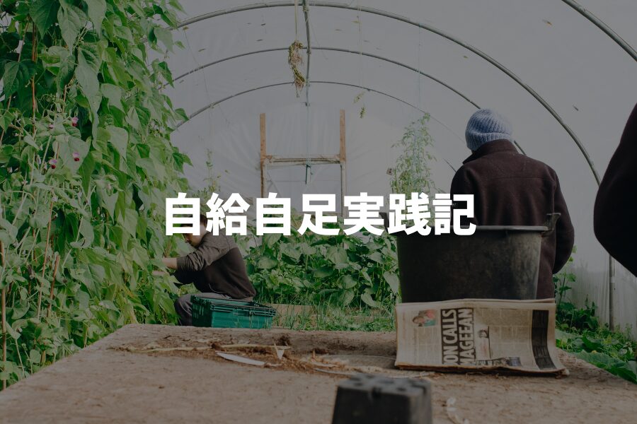自給自足実践記 | 家庭菜園・料理の記録